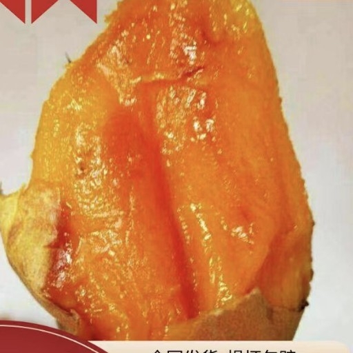 晨光薯業(yè)購(gòu)銷(xiāo)中心