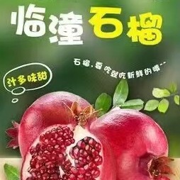 西安陕西省西安市临潼区铁炉红石榴成熟了，大量现货