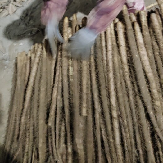 蠡县铁棍