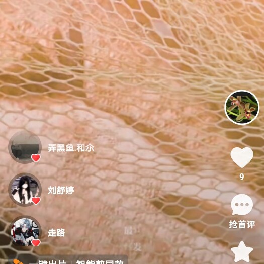 主要是白鲢鱼 草鱼 鲤鱼