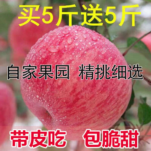 宜川县大白花土豆