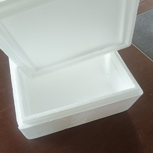 泡沫箱