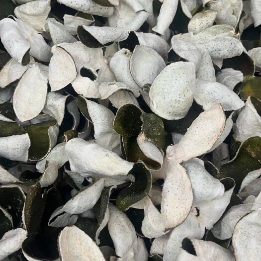广州三花陈皮，大量现货