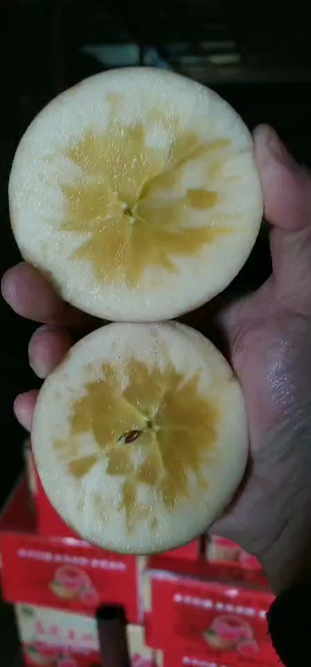 冰糖心蘋果專業(yè)園