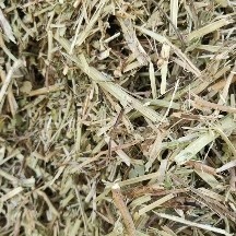 正阳县花生秧