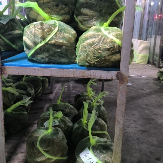 批发大闸蟹，残公残母，精品蟹，专公酒店，社区团购，电商
