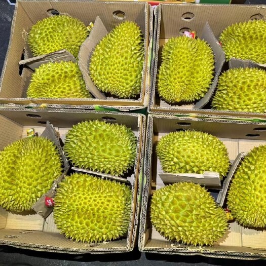 广州越南金枕鲜果榴莲，A3，A6，A果，B果都有