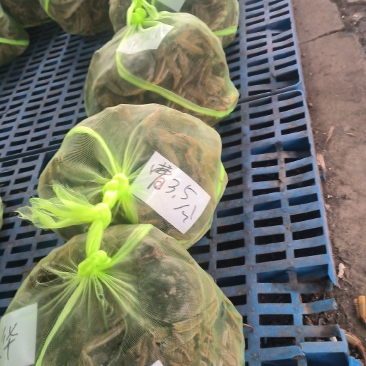 南京优质大闸蟹批发部，提供：残母，残公，九指，精品蟹，普货