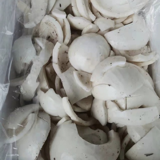文昌市椰子肉鲜榨椰奶秋冬季节温着喝熬椰奶鸡汤赞…常年大量加工椰子肉