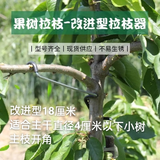 改进型18厘米果树拉枝器永德助拉枝器开角器拉枝定型园艺花卉厂