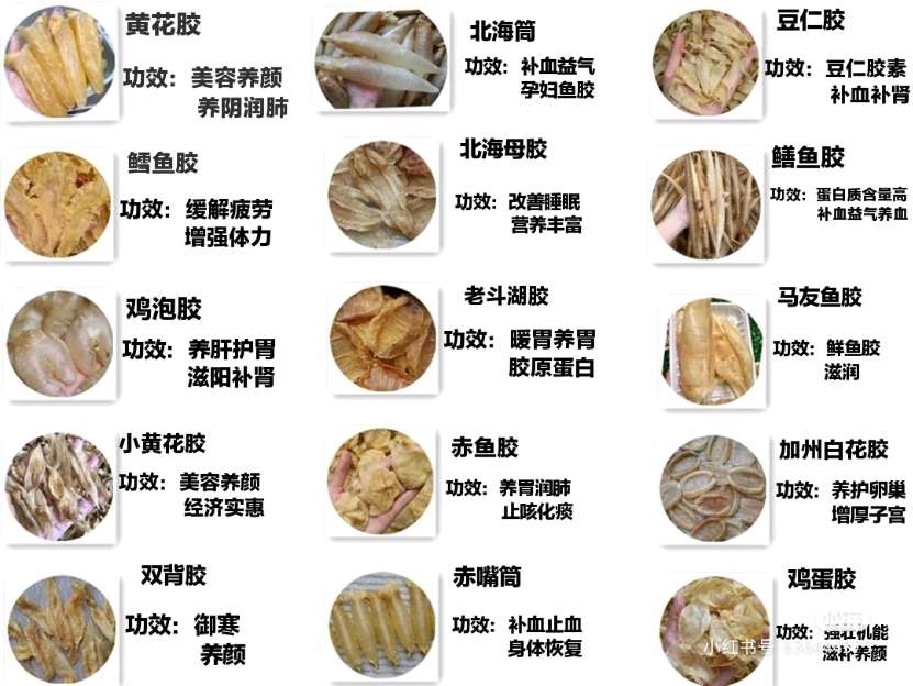 深圳市南山區(qū)海膳品海味商行
