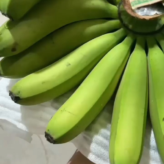 邯郸云南纯三把，生蕉大量到货，果面干净，颜色亮，口感软糯香甜，