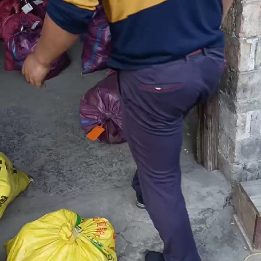 安福县安福金兰柚