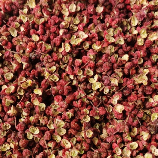 红花椒  正 宗茂汶花椒 头子  特 级 一级普货