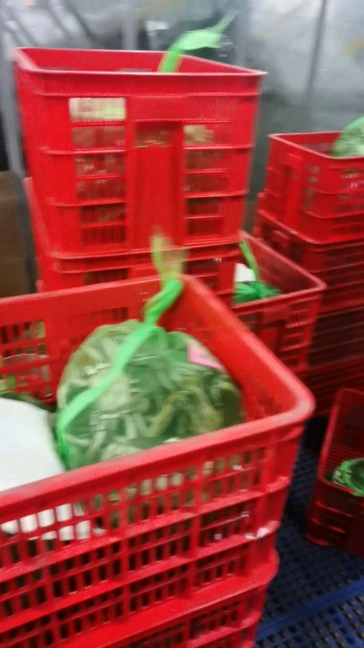 湖北洪湖汈汊清水大闸蟹（可混批）