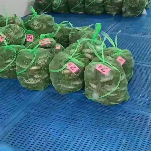 盐城自家养殖大闸蟹，规格齐全，蟹肥味美，量大可优