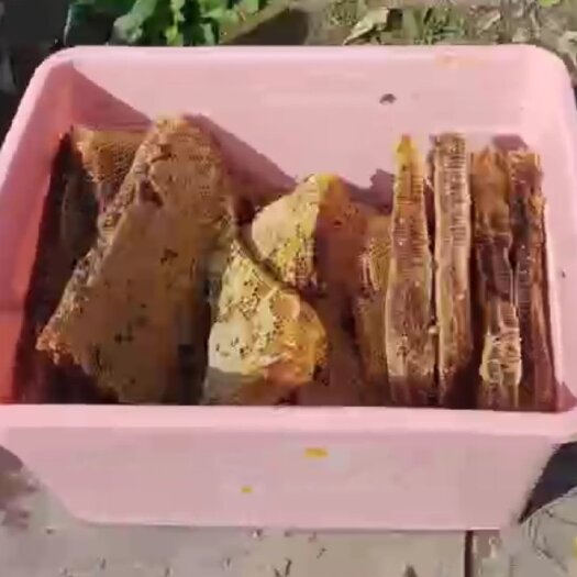 宁波土蜂蜜