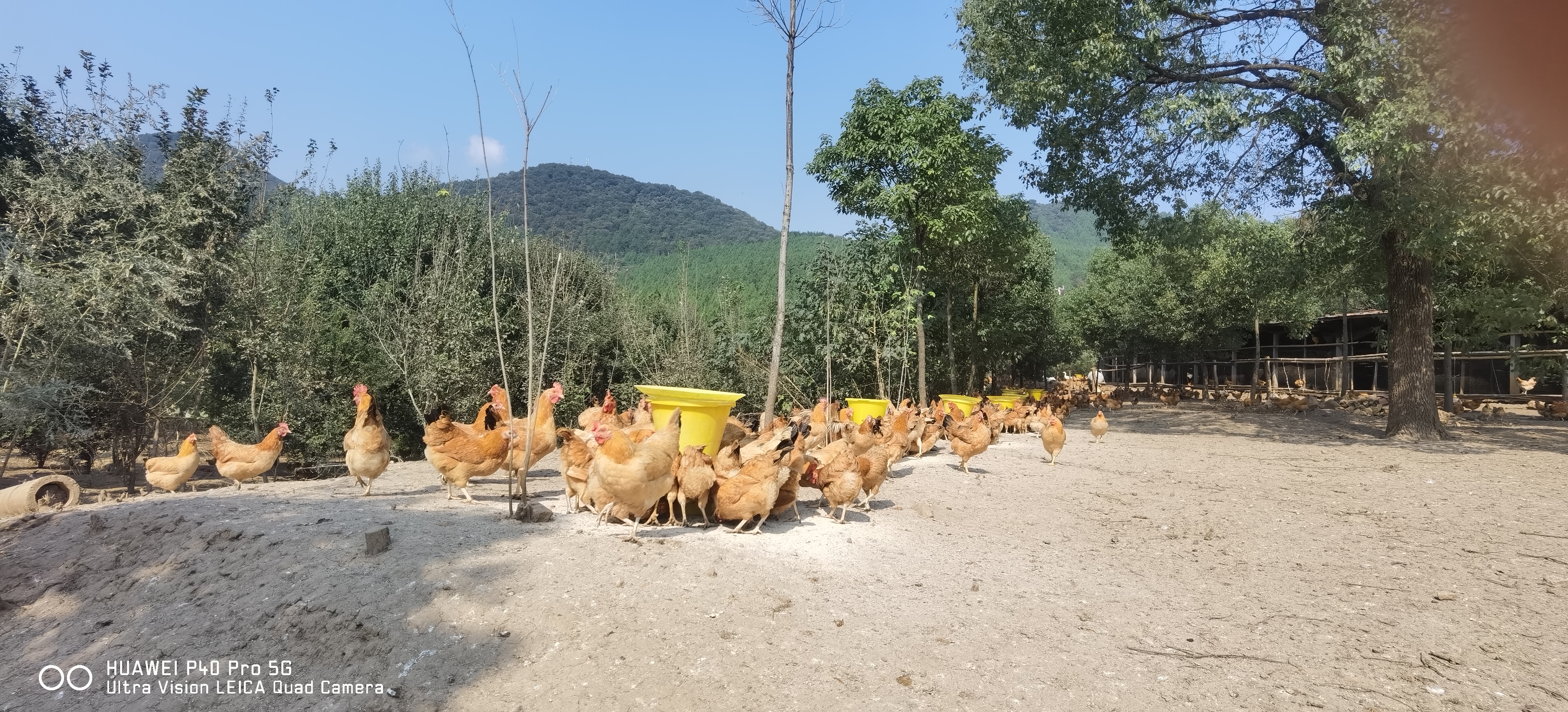 襄陽市鹿門山夫生態(tài)農(nóng)業(yè)有限公司