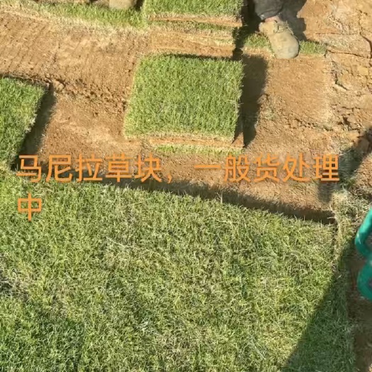 吉安县草坪