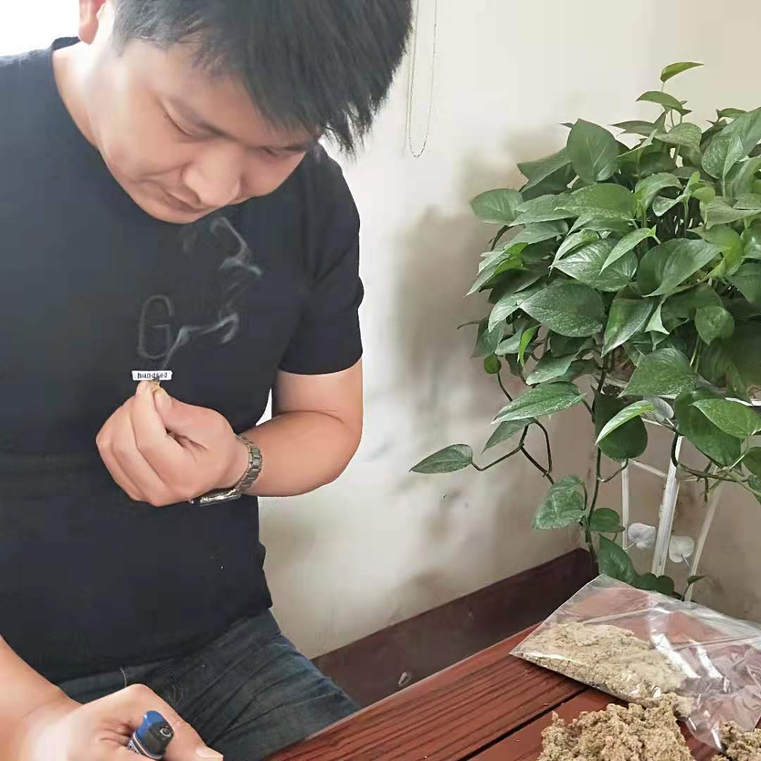 山河本草蘄艾工廠批發(fā)定制