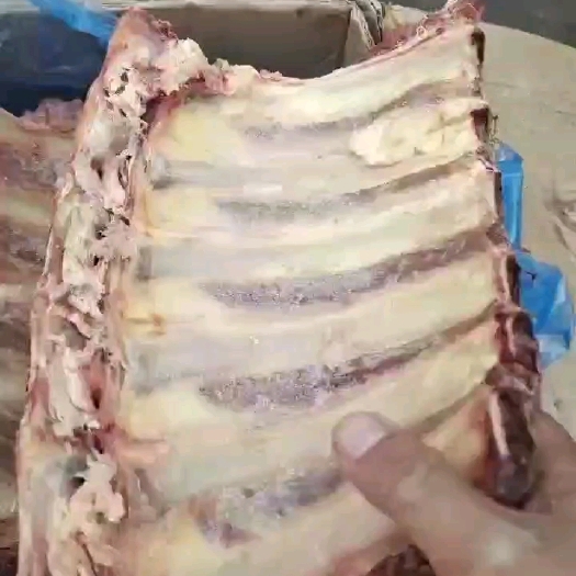 临沂牛肋眼骨
