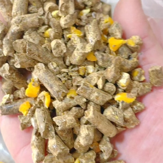 广州玉米颗粒饲料，饲料厂，养殖户好帮手