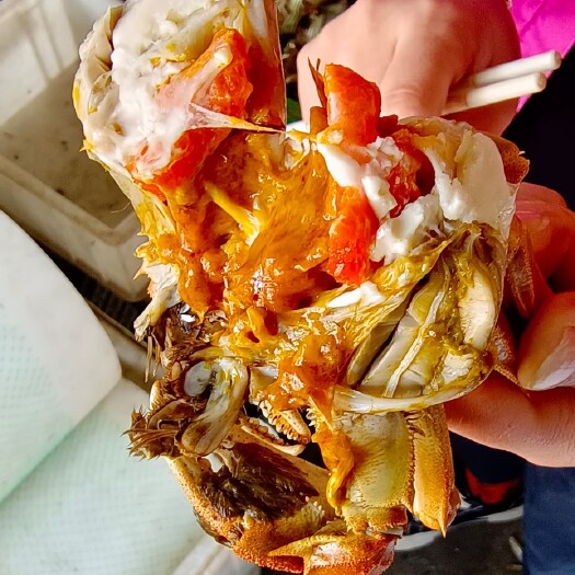 洪湖市湖北洪湖产地批发，活鲜大闸蟹，公母蟹规格分拣明细，满黄满膏