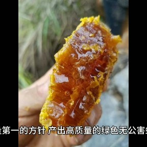 广西十万大山中华蜜蜂蜂蜜