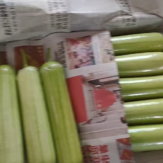 漳州基地白丝瓜，支持各种规格包装
