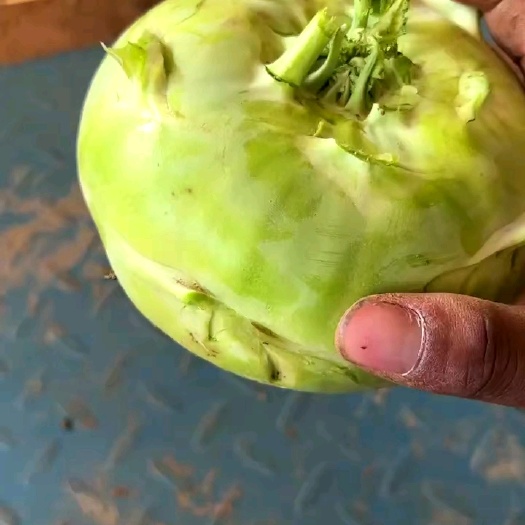 苤蓝，水果苤蓝