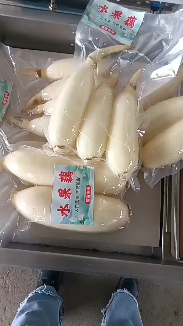 酒店专用水果藕，生吃脆甜，入口无渣当天采摘散装真空都可以发货