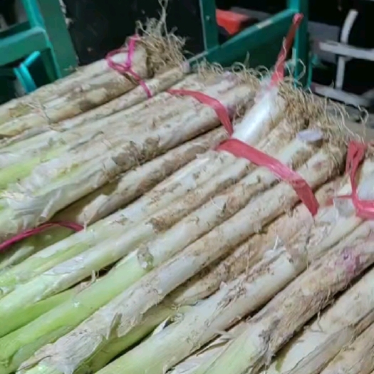 安丘市铁杆大葱