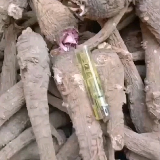 亳州亳州地产药材白芷，无硫白芷个，包含量包真 常年供应
