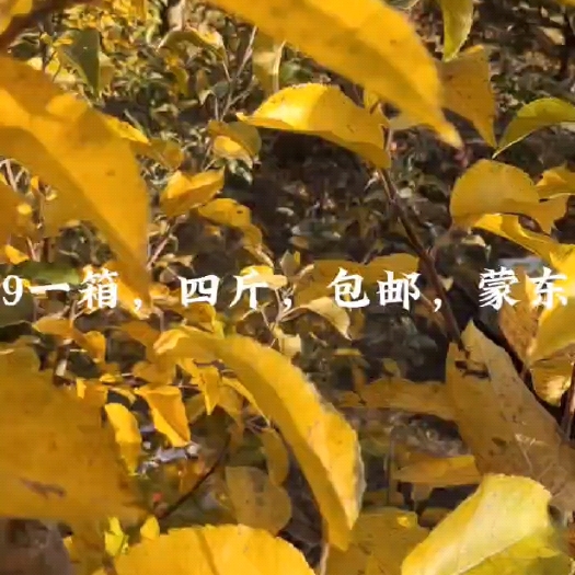 宁城县货我有，就看价钱了，