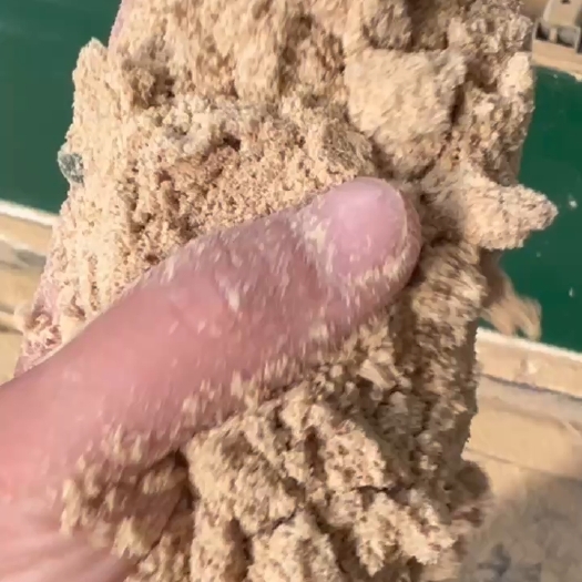 泾阳县油糠   玉米大量现货