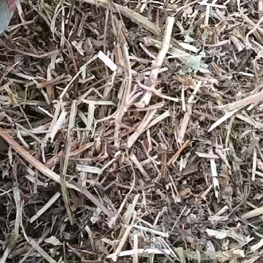 唐河县花生秧，颜色纯正