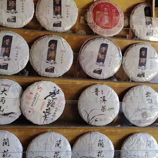 古树普洱