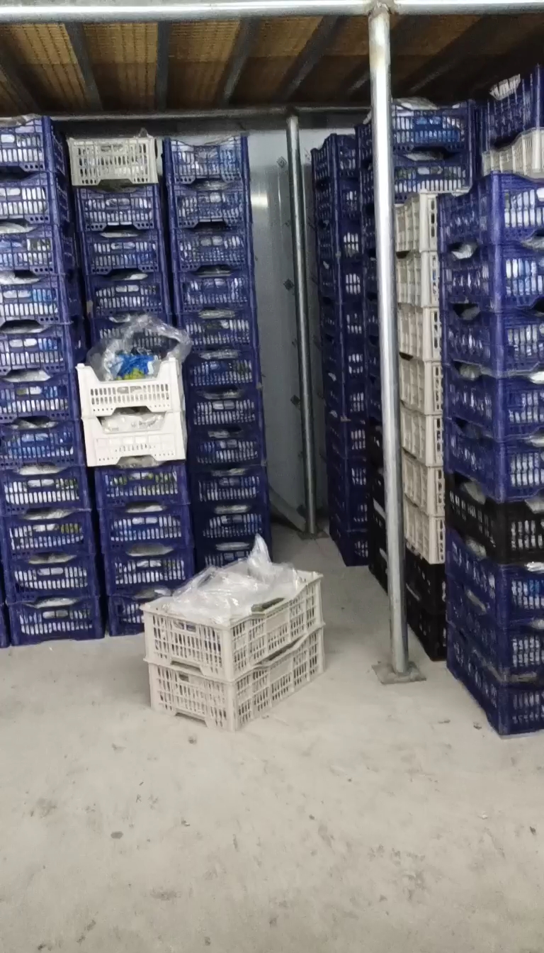 阳光玫瑰货源充足，现货现发，包装齐全，一条龙服务