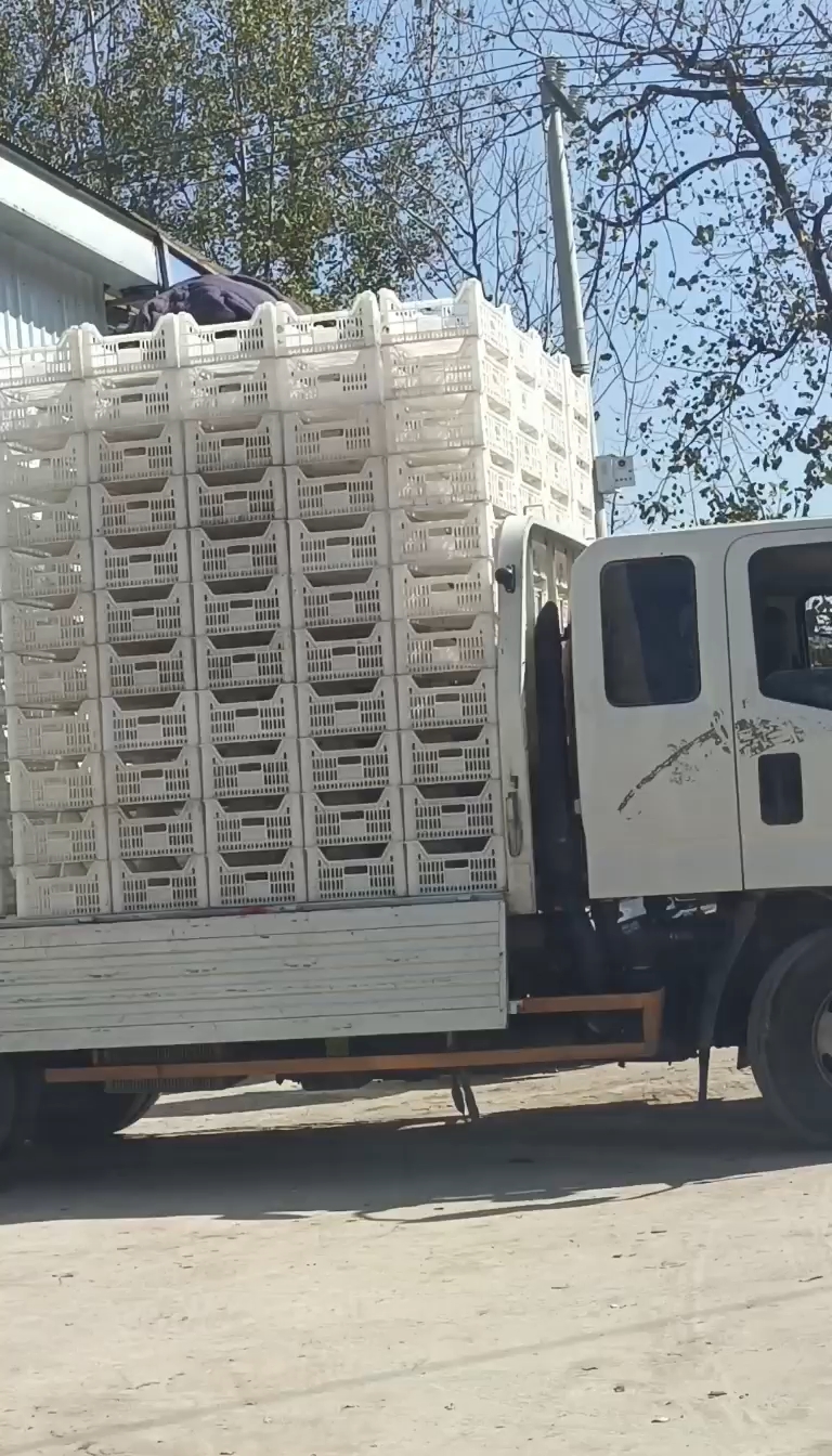 阳光玫瑰货源充足，现货现发，包装齐全，一条龙服务