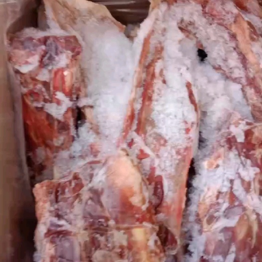 呼和浩特多肉羊蝎子 满肉羊蝎子 加肉羊蝎子
