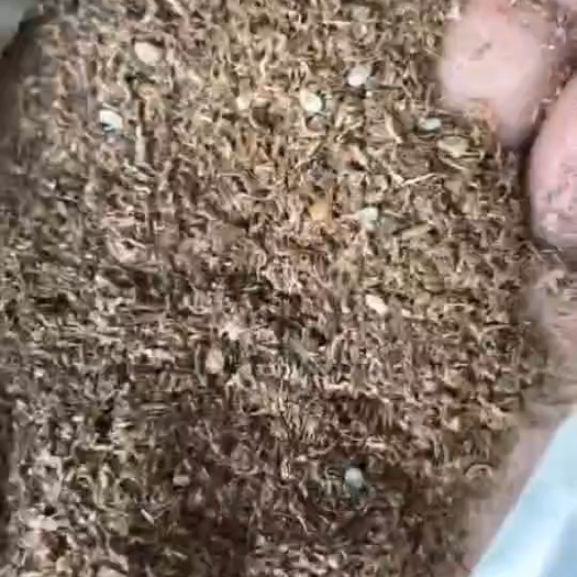 石家庄芝麻皮糠