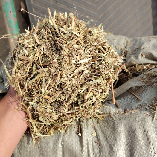 清丰县花生秧