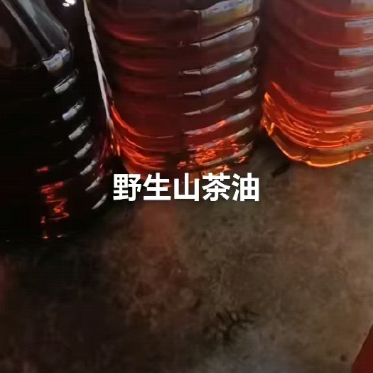 邵阳县山茶油处理