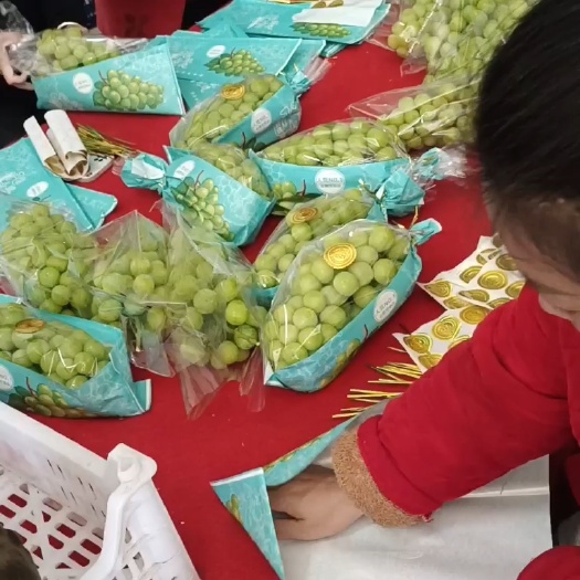方城县阳光玫瑰货源充足，现货现发，包装齐全，一条龙服务