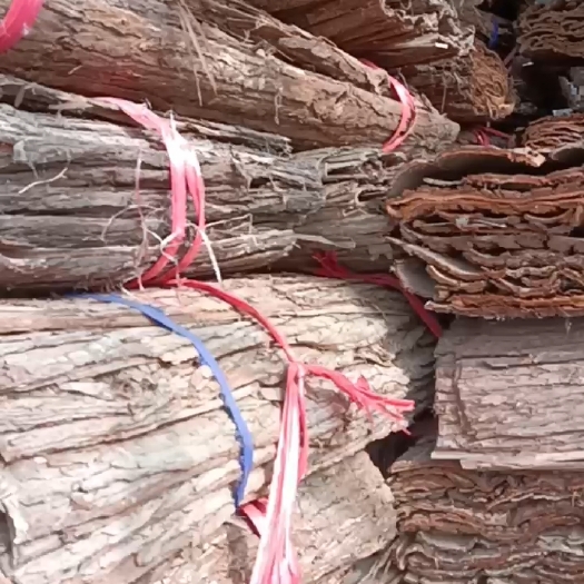 树皮，杉木装饰树皮