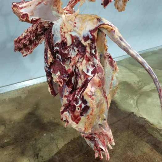 国产纯干牛肉四分体