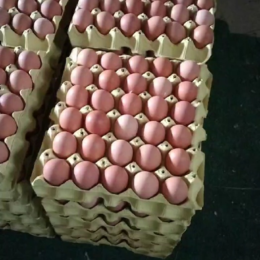 洛南县红壳蛋