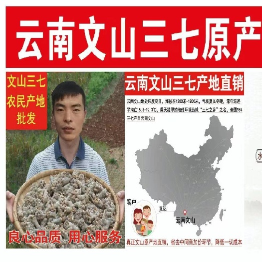 陇西县云南文山三七 三七云南文山。三七粉 三七整头 三七片三七粉