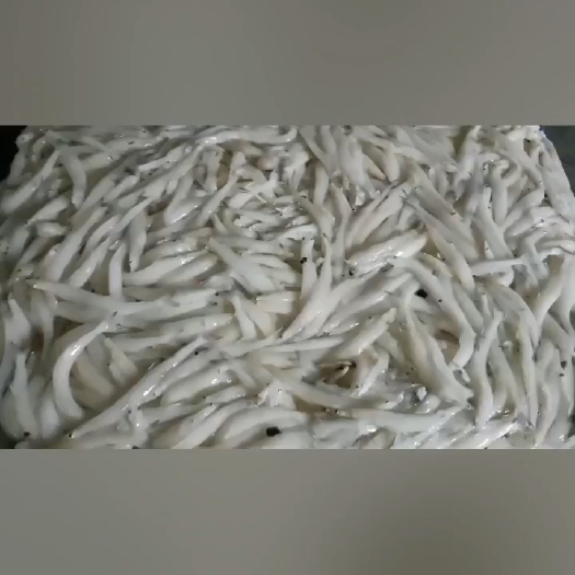 青岛大银鱼