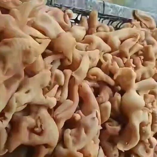 商河县精品羊脸皮，厂家直销 没有中间商